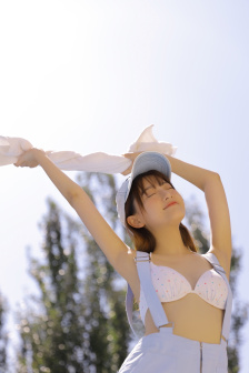 投狼送豹